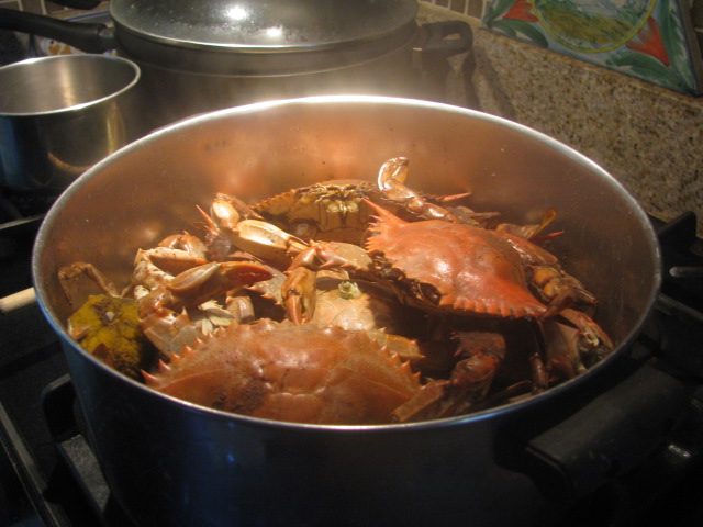 Steamed and Seasoned Chesapeake Bay Crabs - All rights incl. electr. Culinary Roots and Recipes 2016